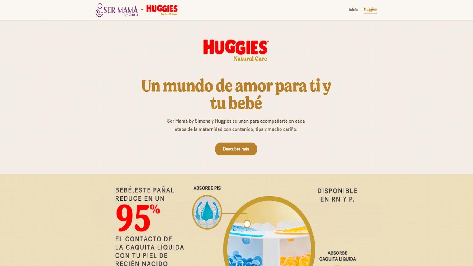 Home, hero and navigation